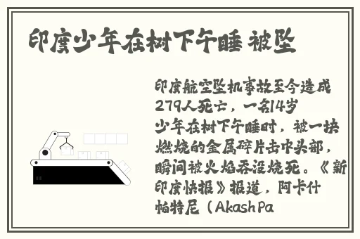 儿子耕了母亲荒废的田
